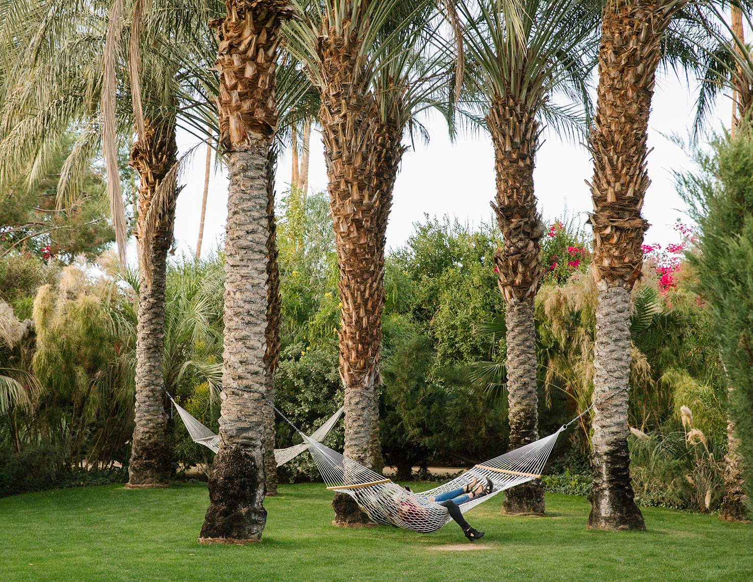 20171129_PalmSprings-1236