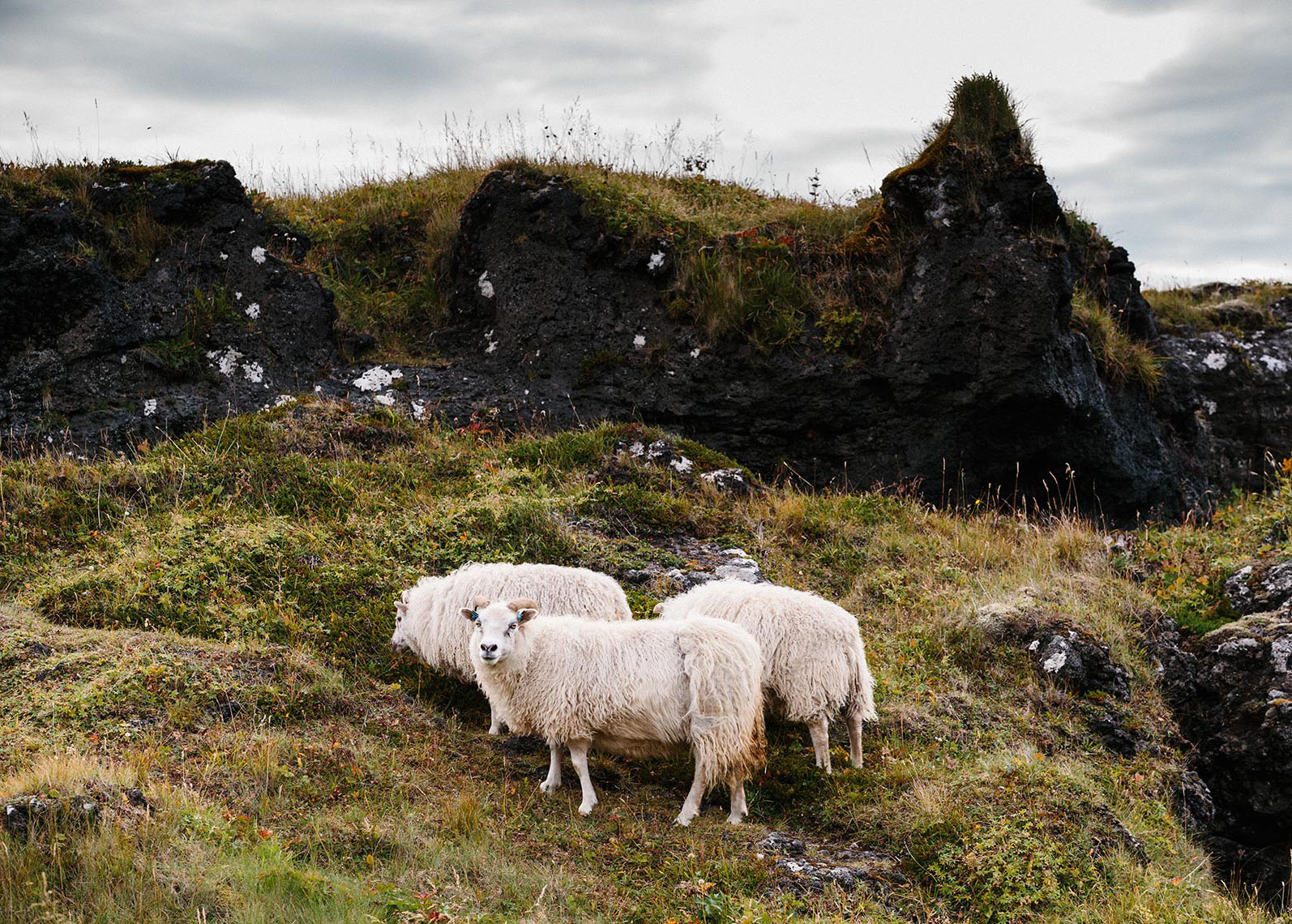 Iceland-36-2