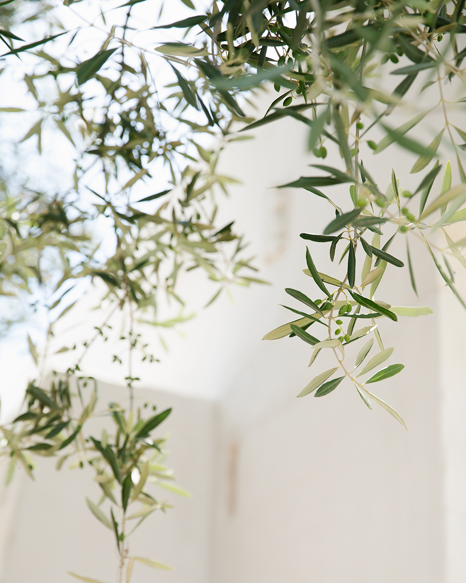 Puglia2018-1287