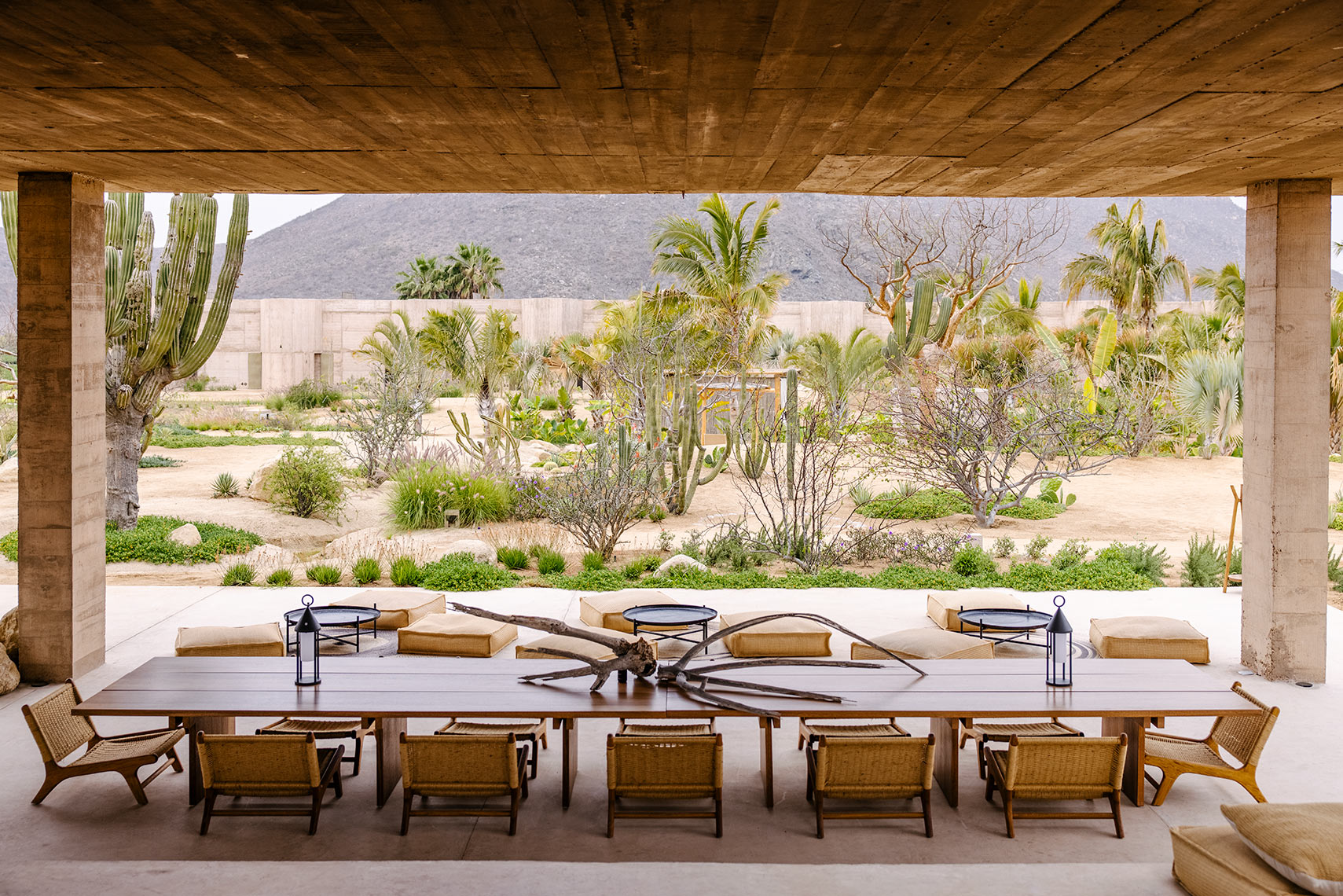 Todos Santos for Coastal Living Fall 2021 issue