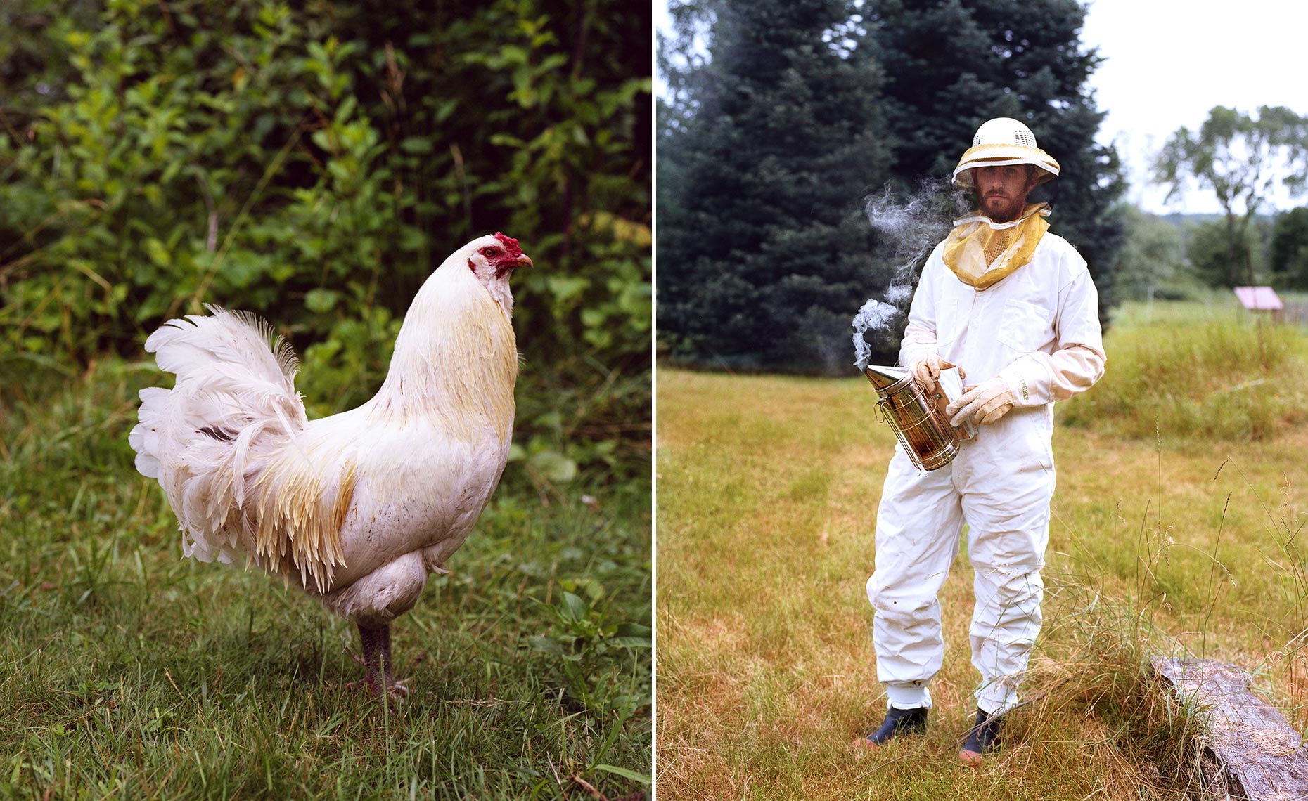 beekeeper chicken farm portrait green