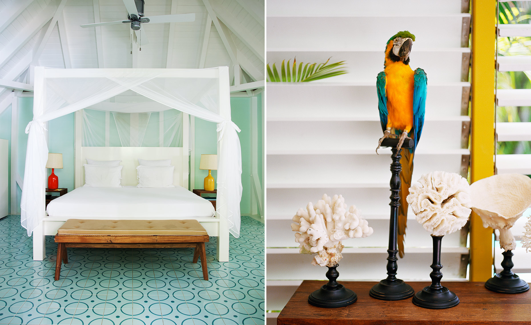 hotel la banane bed parrot st barths saint caribbean
