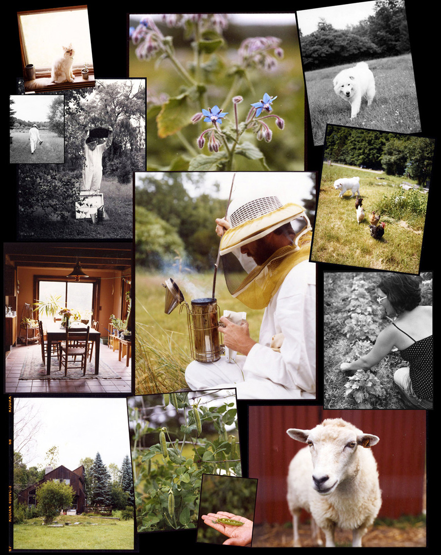 farmcollage-2