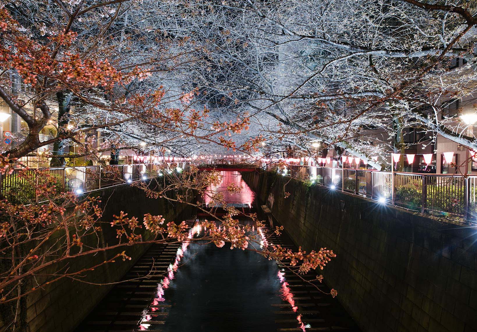 japan-33-2